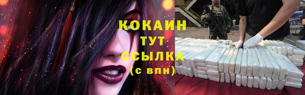 Альфа ПВП Каменногорск