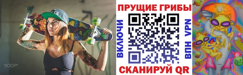 маркетплейс как зайти  Жуковский  Галлюциногенные грибы Psilocybine cubensis 
